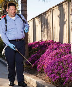 CONTROL DE PLAGAS DE JARDÍN