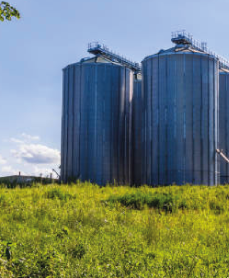 TRATAMIENTOS EN SILOS