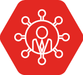 REALIZACIÓN DE LOS SERVICIOS